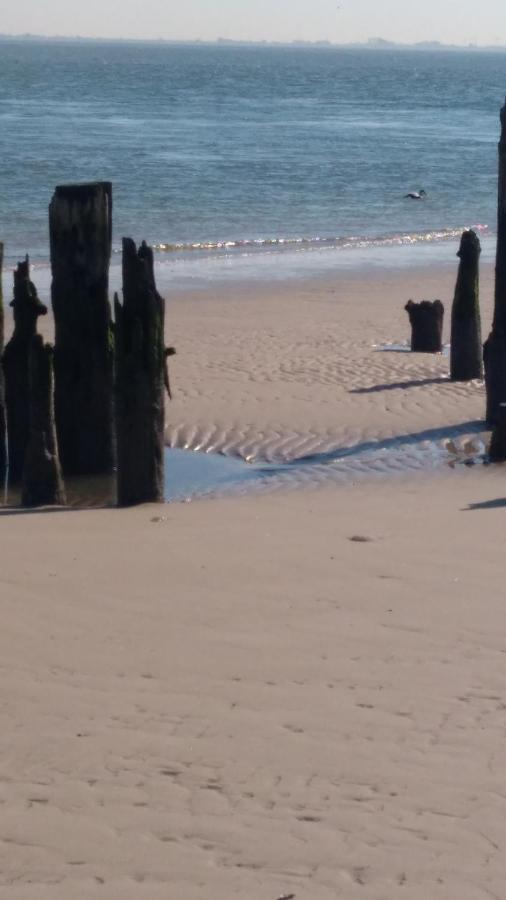 Wattwurm Wangerooge
